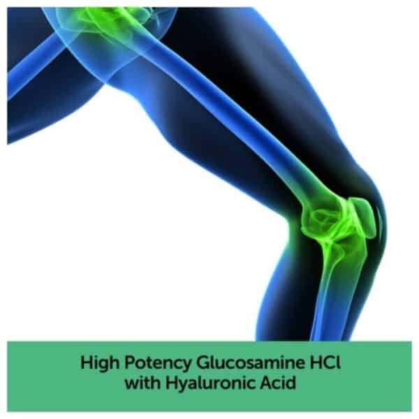 Glucosamina - Schiff Glucosamine 1500mg Plus MSM and Hyaluronic Acid, 150 tablets - Joint Supplement - Image 6