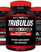 Tribulus Terrestris Extract Powder - Image 8